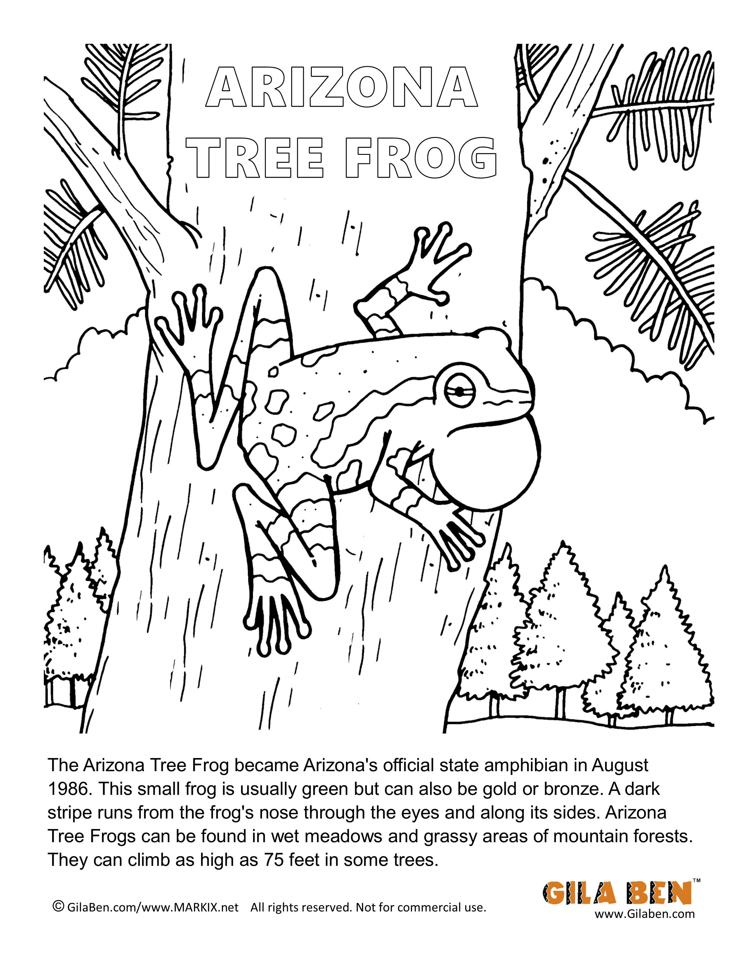 Arizona Tree Frog Coloring Page Printout