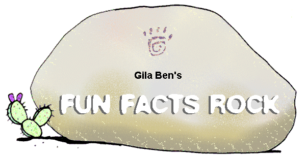 Arizona Fun Facts Rock
