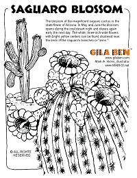 saguaro blossom coloring page