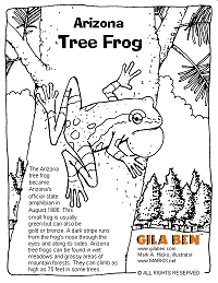 Arizona Tree Frog - coloring page thumbnail
