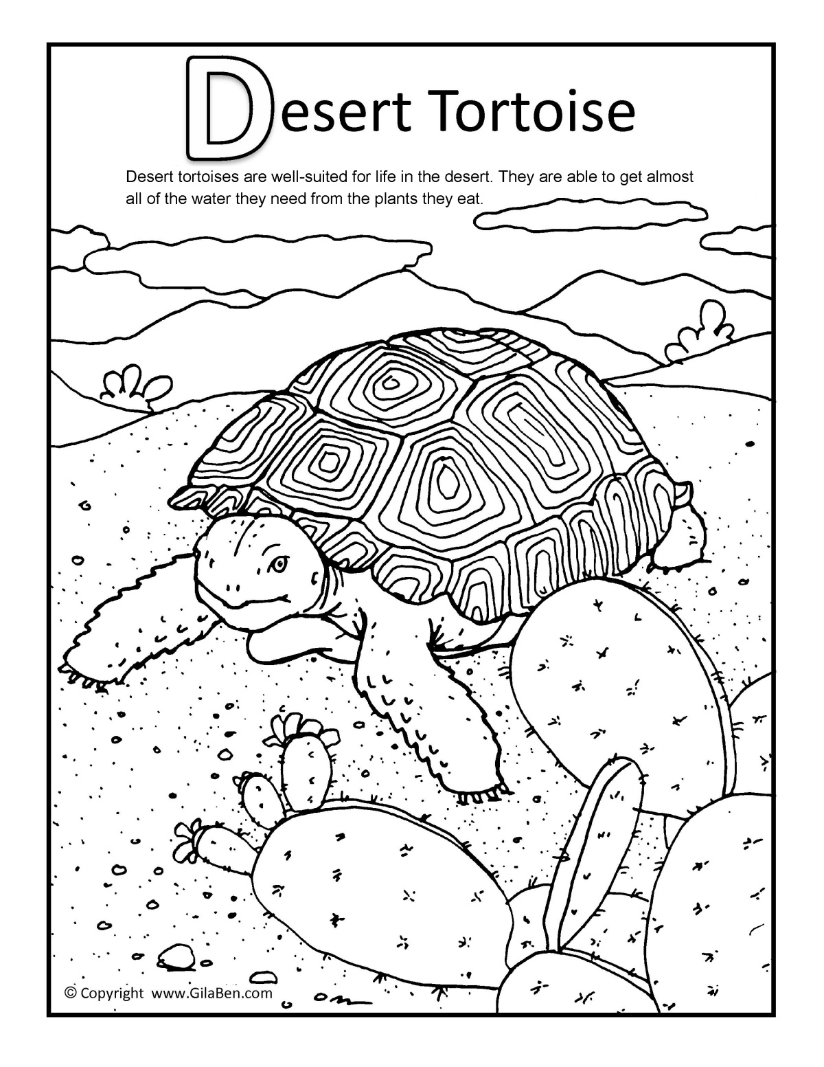 sonoran desert animals coloring pages - photo #36