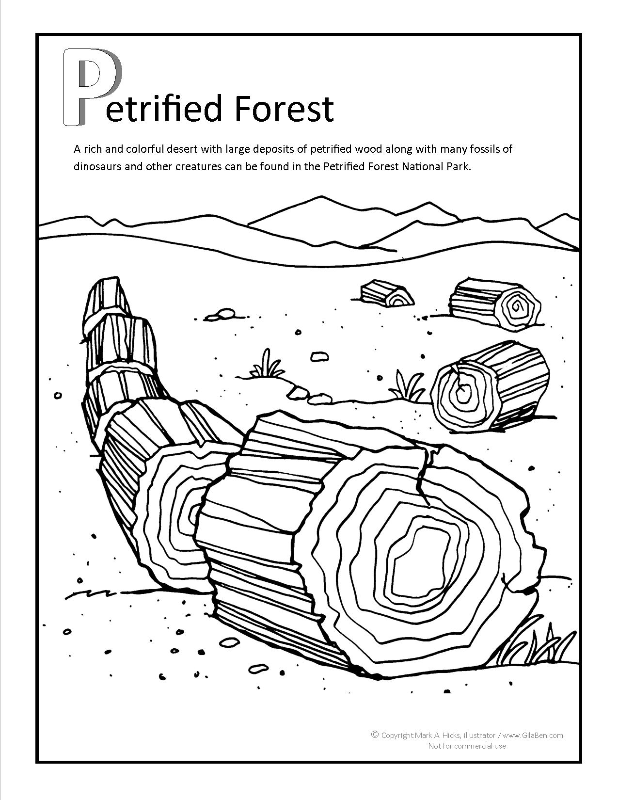 Petrified Forest Coloring page