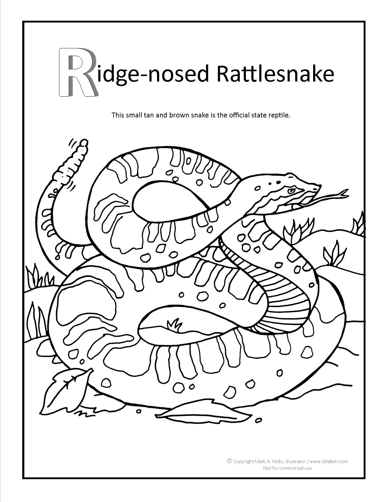 Ridge-nosed Rattlesnake Coloring page