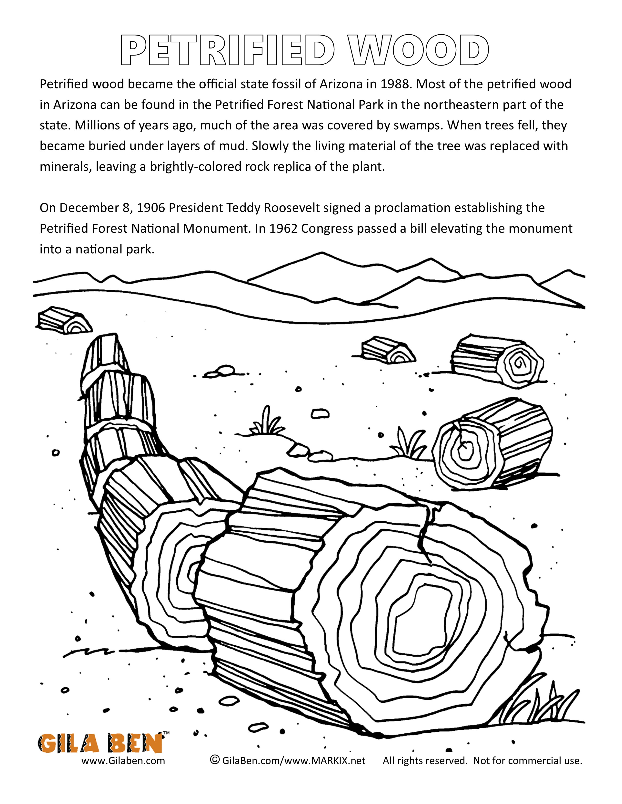 Petrified Wood Coloring Page Printout